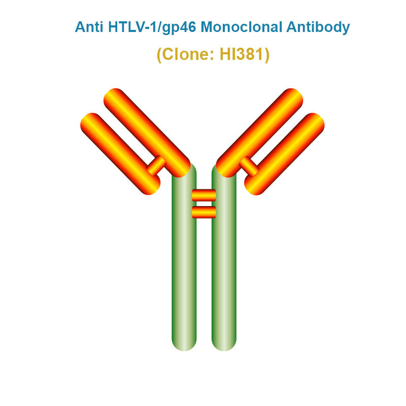Anti Human T-lymphotropic Virus Type 1 (HTLV-1/gp46) Monoclonal