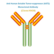 Load image into Gallery viewer, Anti Human Soluble Tumor-suppressor (hST2) Monoclonal Antibody