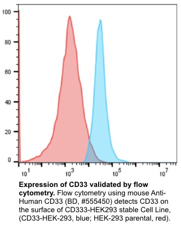 CD33 stable cell line, HEK293T