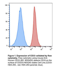 Load image into Gallery viewer, CD33 stable cell line, HEK293T, Red fluorescent protein (RFP)
