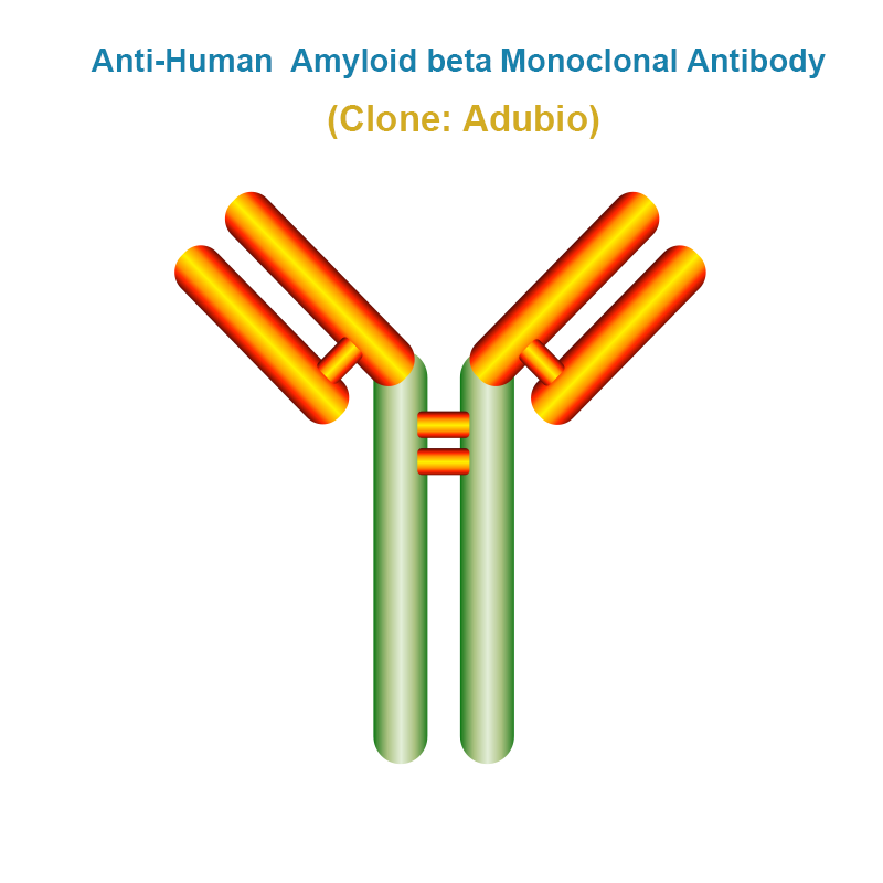 Anti-Human Amyloid beta Monoclonal Antibody