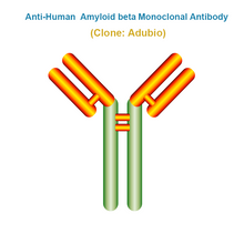 Load image into Gallery viewer, Anti-Human Amyloid beta Monoclonal Antibody