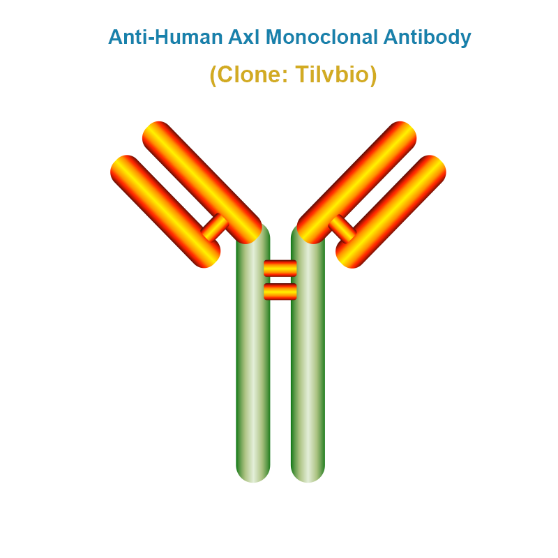 Anti-Human Axl Monoclonal Antibody