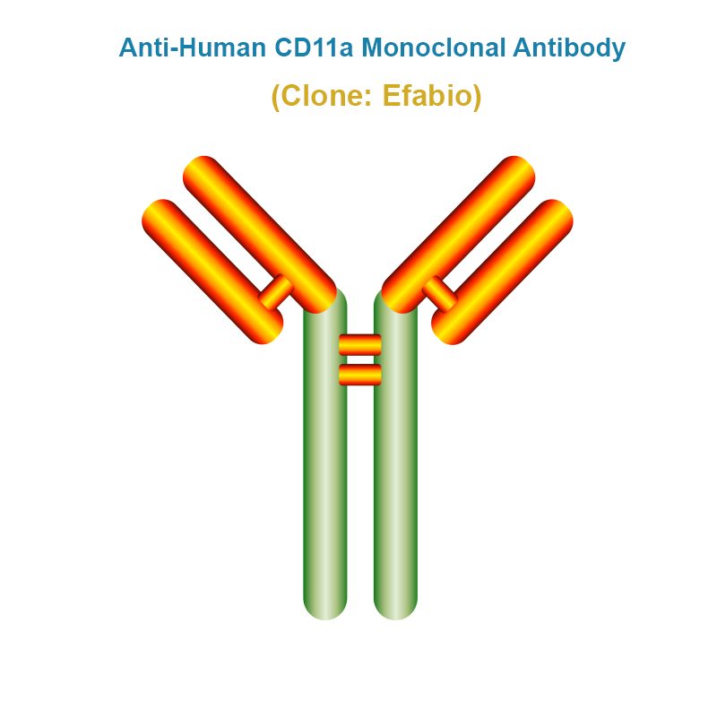 Anti-Human CD11a Monoclonal Antibody
