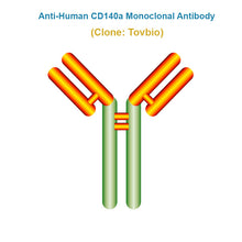 Load image into Gallery viewer, Anti-Human CD140a Monoclonal Antibody