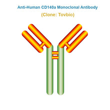 Load image into Gallery viewer, Anti-Human CD140a Monoclonal Antibody, Clone: Tovbio