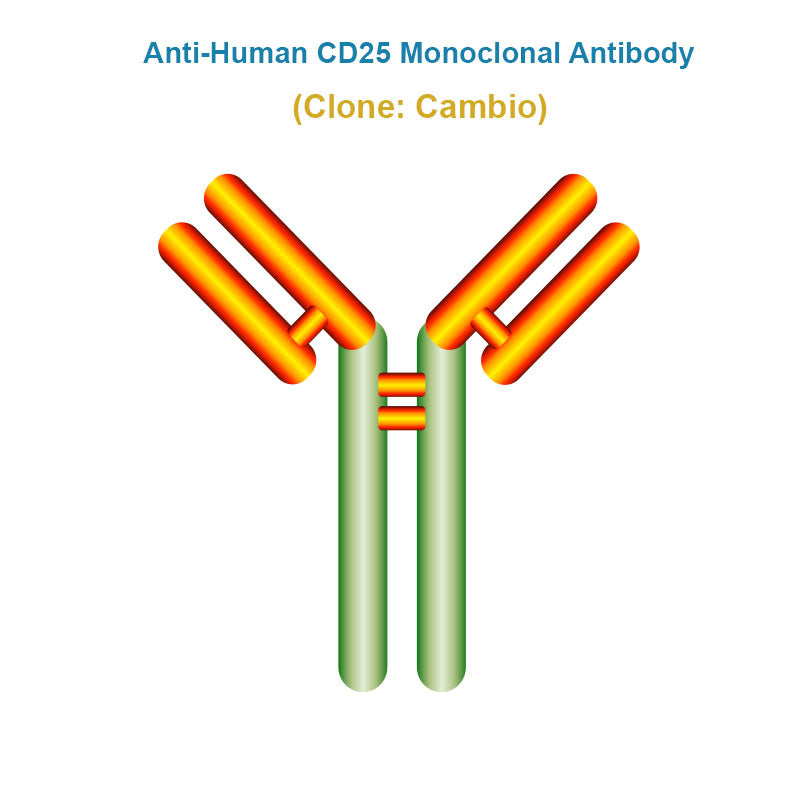 Anti-Human CD25 Monoclonal Antibody