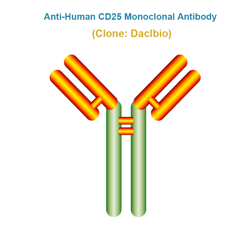 Anti-Human CD25 Monoclonal Antibody
