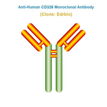 Load image into Gallery viewer, Anti-Human CD326 Monoclonal Antibody