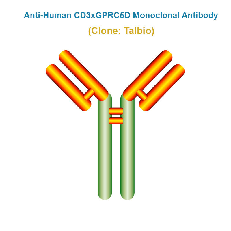 Anti-Human CD3xGPRC5D Monoclonal Antibody