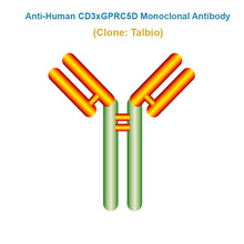 Load image into Gallery viewer, Anti-Human CD3xGPRC5D Monoclonal Antibody
