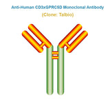 Anti-Human CD3xGPRC5D Monoclonal Antibody