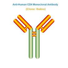 Load image into Gallery viewer, Anti-Human CD4 Monoclonal Antibody