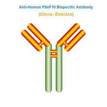 Load image into Gallery viewer, Anti-Human F9xF10 Bispecific Antibody