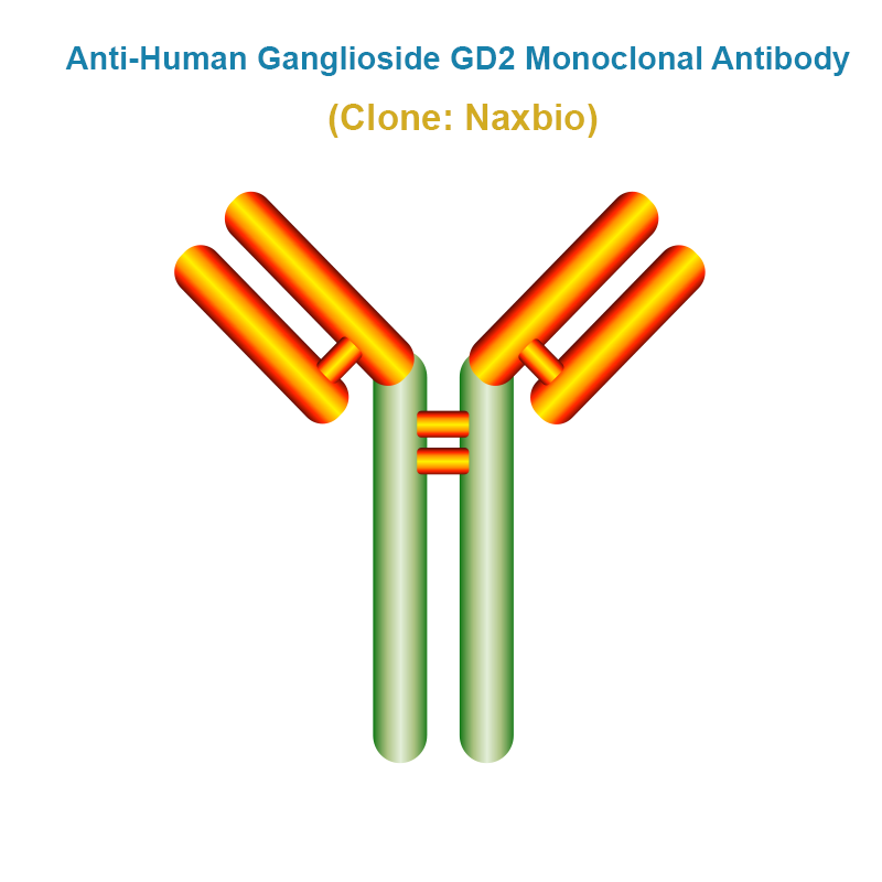 Anti-Human Ganglioside GD2 Monoclonal Antibody, Clone: Naxbio