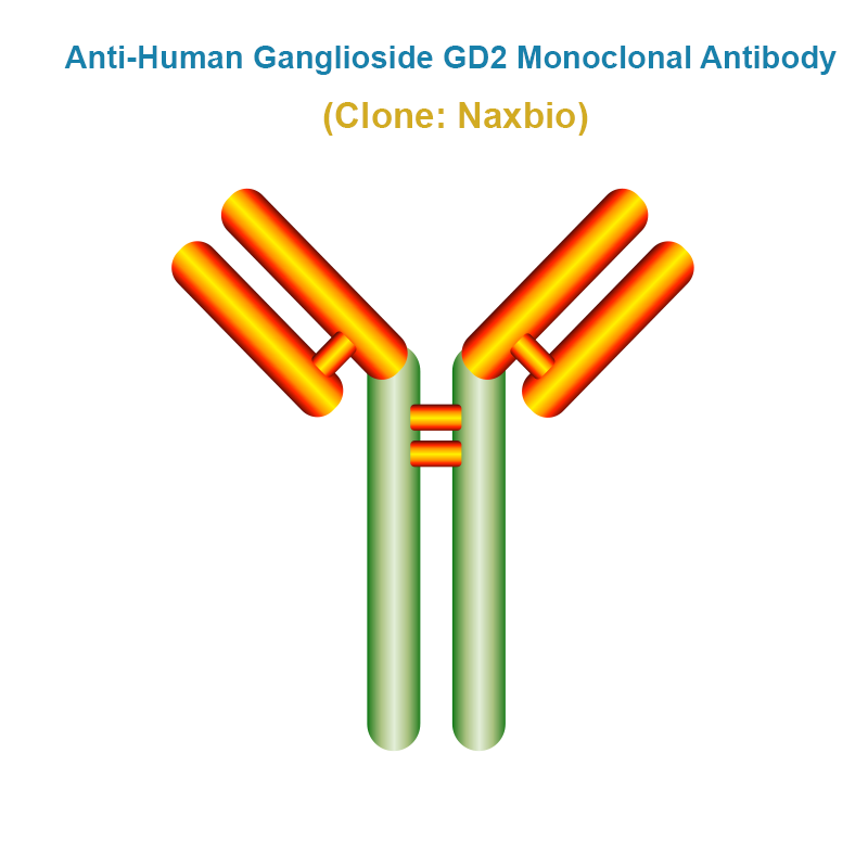 Anti-Human Ganglioside GD2 Monoclonal Antibody