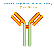 Load image into Gallery viewer, Anti-Human Ganglioside GD2 Monoclonal Antibody, Clone: Naxbio