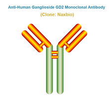 Load image into Gallery viewer, Anti-Human Ganglioside GD2 Monoclonal Antibody