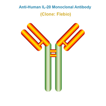 Load image into Gallery viewer, Anti-Human IL-20 Monoclonal Antibody, Clone: Flebio