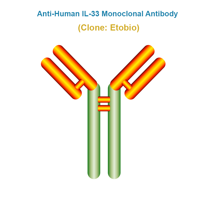 Anti-Human IL-33 Monoclonal Antibody