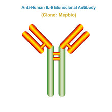 Load image into Gallery viewer, Anti-Human IL-5 Monoclonal Antibody