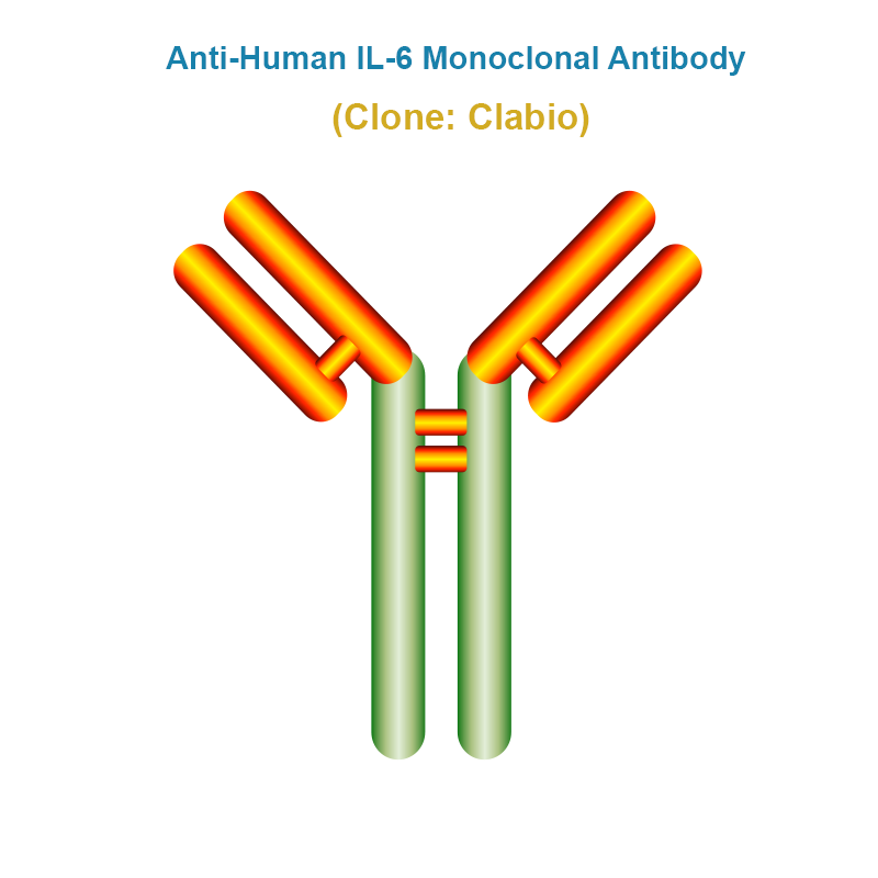 Anti-Human IL-6 Monoclonal Antibody