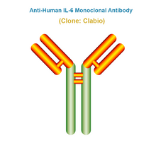 Load image into Gallery viewer, Anti-Human IL-6 Monoclonal Antibody