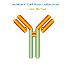 Load image into Gallery viewer, Anti-Human IL-6R Monoclonal Antibody