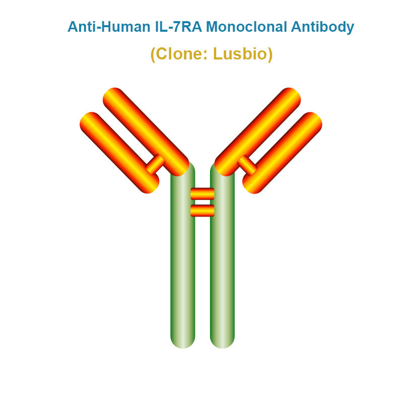 Anti-Human IL-7RA Monoclonal Antibody