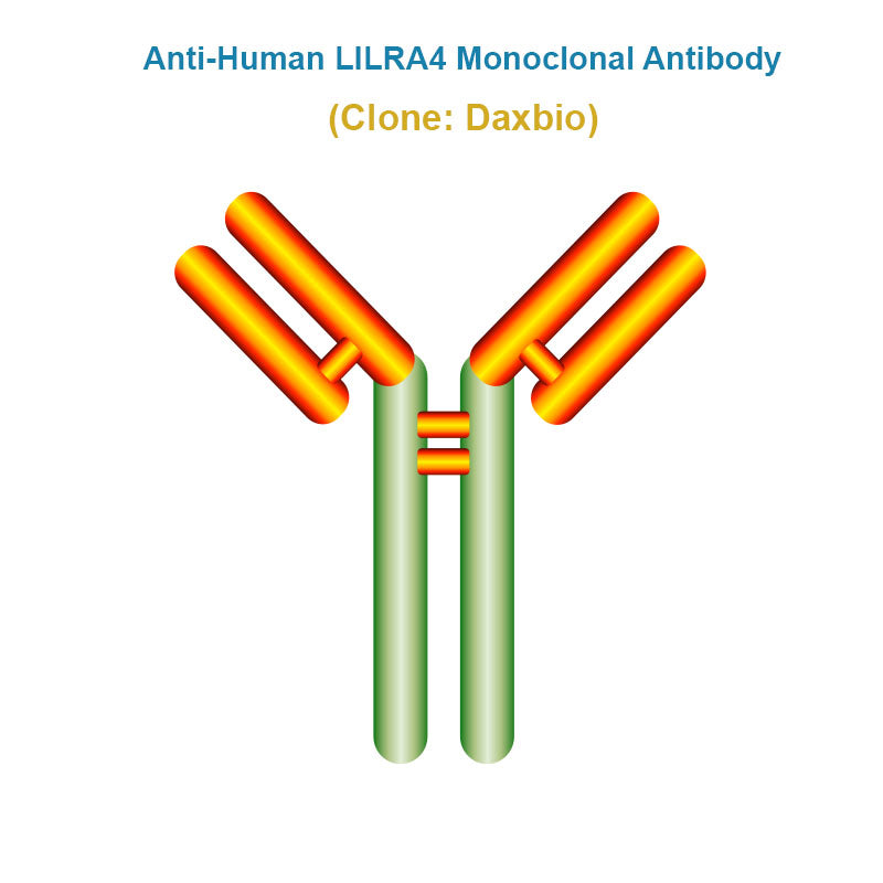 Anti-Human LILRA4 Monoclonal Antibody