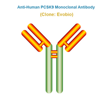 Load image into Gallery viewer, Anti-Human PCSK9 Monoclonal Antibody, Clone: Evobio