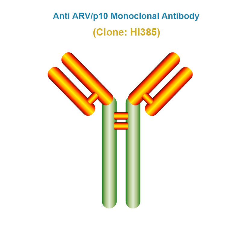 Anti Avian Reovirus (ARV/p10) Monoclonal Antibody