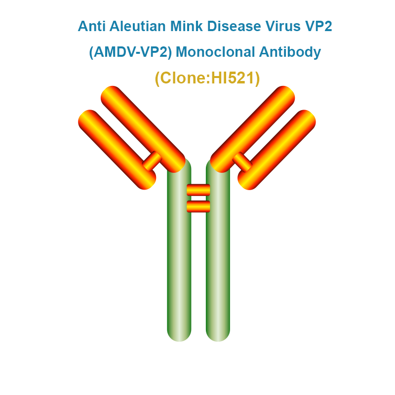 Anti Aleutian Mink Disease Virus VP2 (AMDV-VP2) Monoclonal Antibody