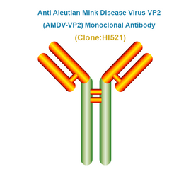 Anti Aleutian Mink Disease Virus VP2 (AMDV-VP2) Monoclonal Antibody