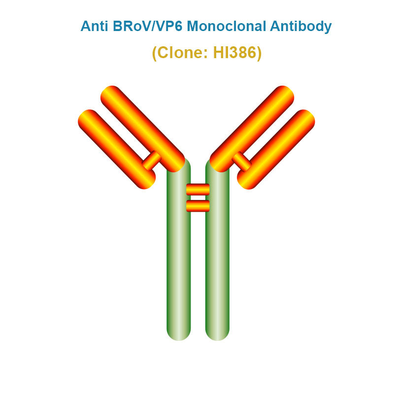 Anti Bovine Rotavirus (BRoV/VP6) Monoclonal Antibody