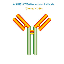 Anti Bovine Rotavirus (BRoV/VP6) Monoclonal Antibody