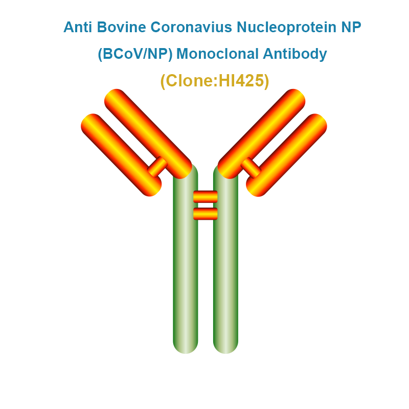 Anti Bovine Coronavius Nucleoprotein NP (BCoV/NP) Monoclonal antibody