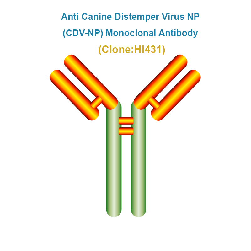 Anti Canine Distemper Virus NP (CDV-NP) Monoclonal Antibody