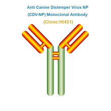 Load image into Gallery viewer, Anti Canine Distemper Virus NP (CDV-NP) Monoclonal Antibody
