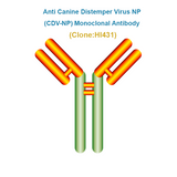 Anti Canine Distemper Virus NP (CDV-NP) Monoclonal Antibody