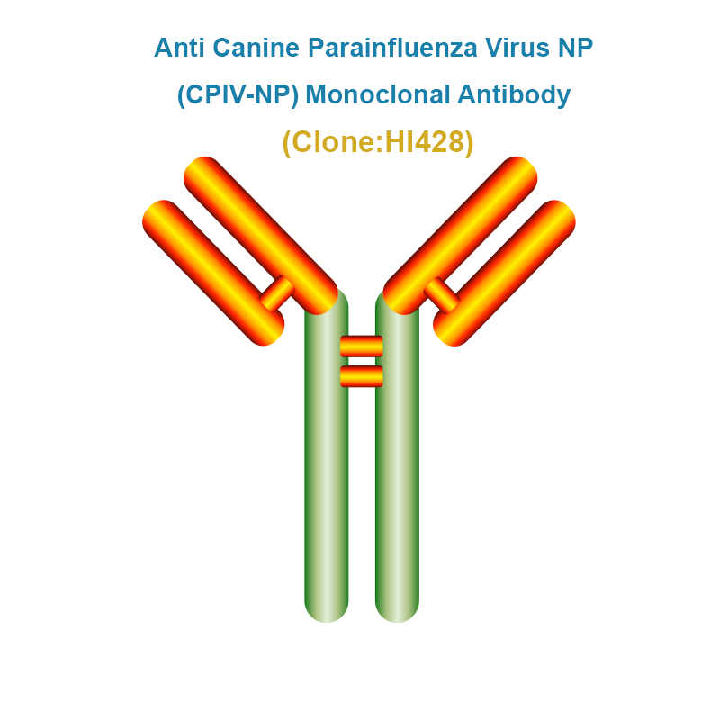 Anti Canine Parainfluenza Virus (CPIV-NP) Monoclonal Antibody