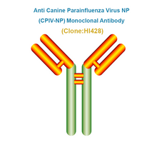 Load image into Gallery viewer, Anti Canine Parainfluenza Virus (CPIV-NP) Monoclonal Antibody