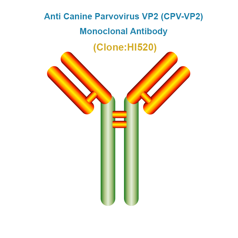 Anti Canine Parvovirus VP2 (CPV-VP2) Monoclonal Antibody