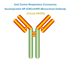 Load image into Gallery viewer, Anti Canine Respiratory Coronavius Nucleoprotein NP (CRCoV/NP) Monoclonal Antibody