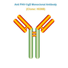 Load image into Gallery viewer, Anti Feline Herpesvirus (FHV-1/gD) Monoclonal Antibody
