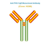 Anti Feline Herpesvirus (FHV-1/gD) Monoclonal Antibody