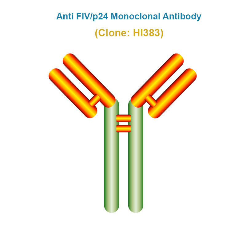 Anti Feline Immunodeficiency Virus (FIV/p24) Monoclonal Antibody
