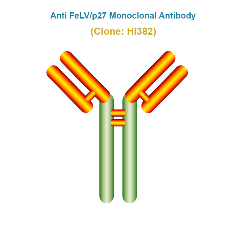 Anti Feline Leukemia Virus (FeLV/p27) Monoclonal Antibody