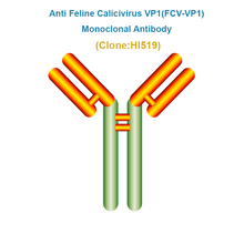 Load image into Gallery viewer, Anti Feline Calicivirus VP1 (FCV-VP1) Monoclonal Antibody