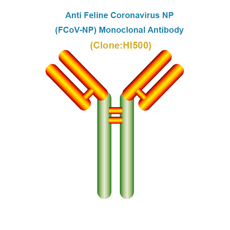 Anti Feline Coronavirus NP (FCoV-NP) Monoclonal Antibody
